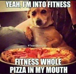 Pizza dog.jpg